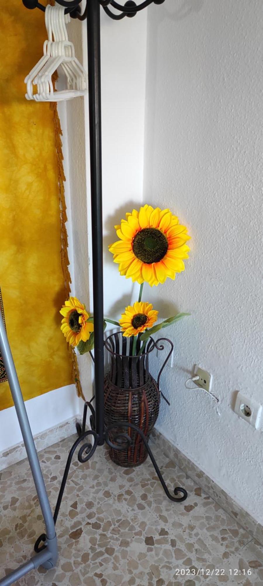 Apartamento Luminoso El El Morche Eksteriør billede